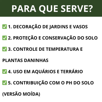 Pedra Dolomita Branca 10kg Seixo para Jardim e Vasos