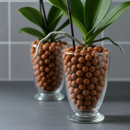 Argila Expandida Terra Forte para Jardinagem e Decoração 2L 5L 10L