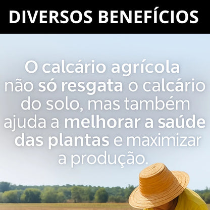 Calcário Agrícola Dolomítico 5kg Corretivo de Solo para Hortas e Jardins