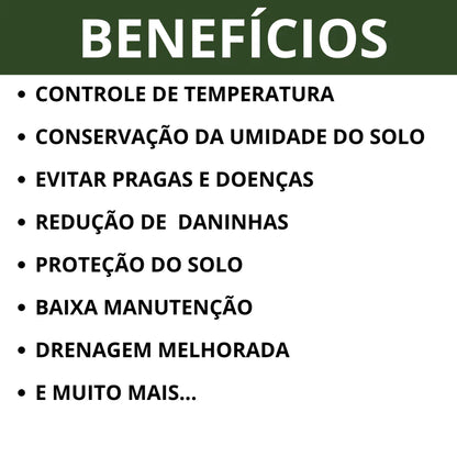 Pedra de Rio Natural 1kg para Aquário, Vasos e Jardim – PH Neutro