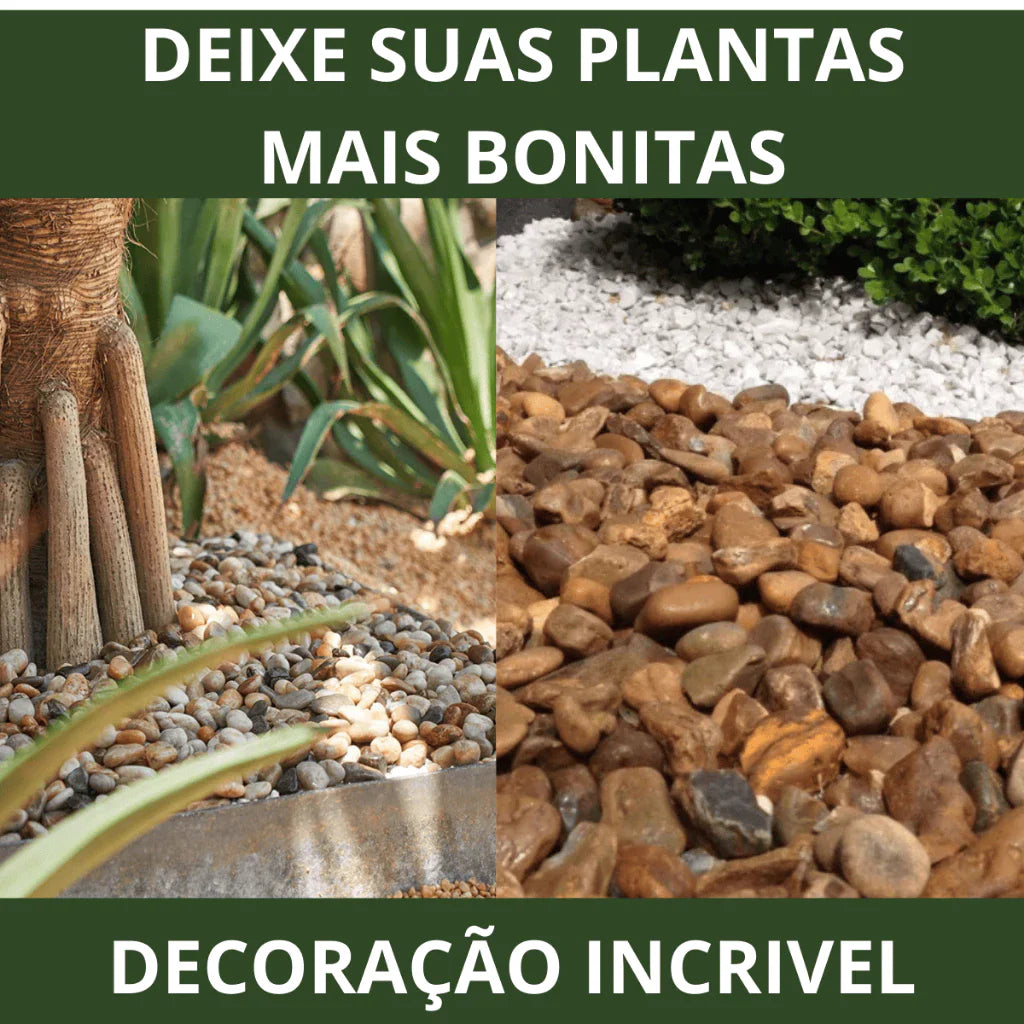 Pedra de Rio Natural 1kg para Aquário, Vasos e Jardim – PH Neutro