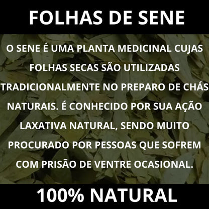 Folhas de Sene Premium 100% Natural para Chá Detox