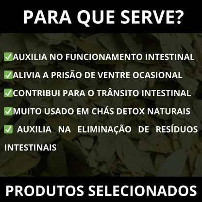 Folhas de Sene Premium 100% Natural para Chá Ocasional