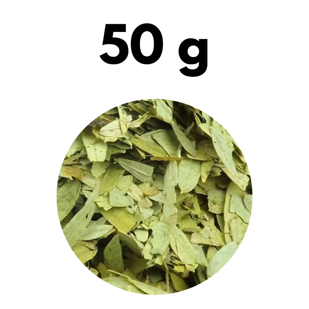 Folhas de Sene Premium 100% Natural para Chá Ocasional