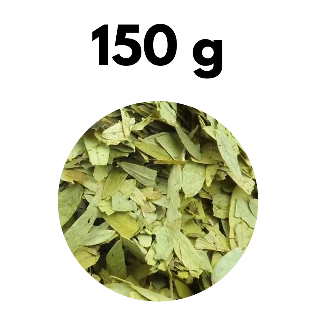 Folhas de Sene Premium 100% Natural para Chá Ocasional