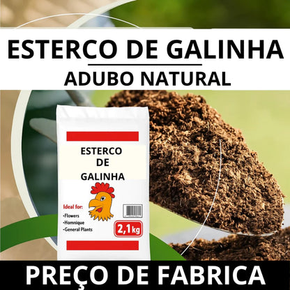 Esterco de Galinha Orgânico 2,1kg Adubo Natural para Hortas e Jardins